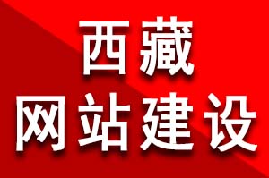 西藏酒店網(wǎng)站建設(shè)特色、設(shè)計、定位有哪些？