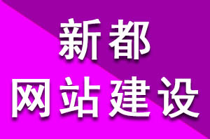 新都網(wǎng)站建設(shè)兩種方式分享